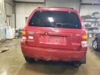 2005 Ford Escape Limited