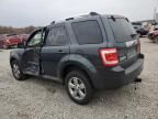 2009 Ford Escape Limited