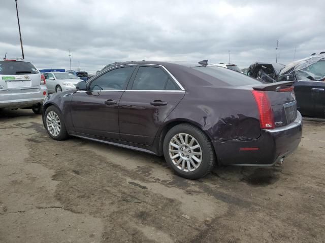 2010 Cadillac CTS Performance Collection