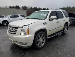 Cadillac Vehiculos salvage en venta: 2007 Cadillac Escalade Luxury