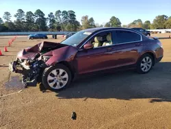 Honda Accord exl salvage cars for sale: 2010 Honda Accord EXL