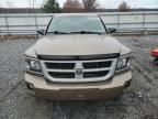 2010 Dodge Dakota SXT