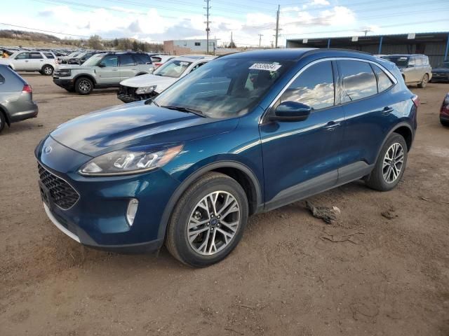 2020 Ford Escape SEL