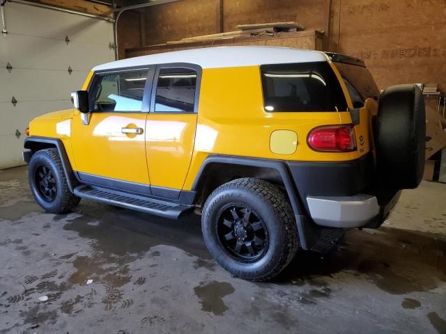 2007 Toyota FJ Cruiser