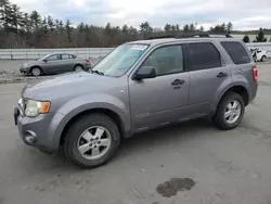 Ford salvage cars for sale: 2008 Ford Escape XLT