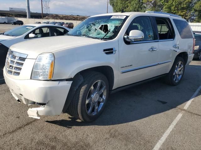 2011 Cadillac Escalade Premium