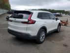 2025 Honda CR-V EXL