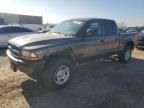 2002 Dodge Dakota Quad Sport