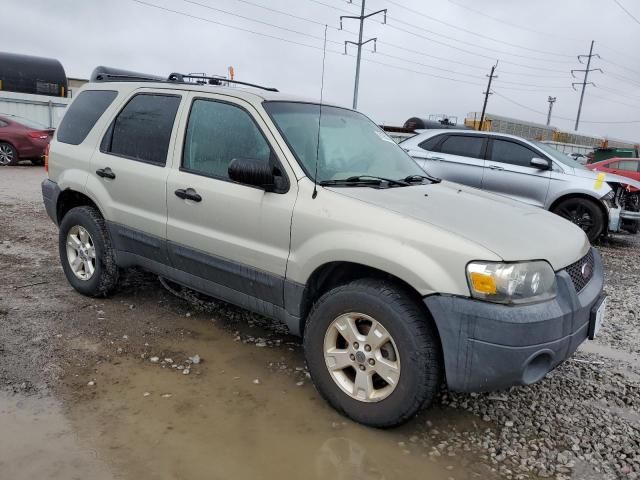 2005 Ford Escape XLT