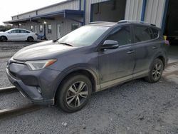 Salvage cars for sale at auction: 2016 Toyota Rav4 XLE