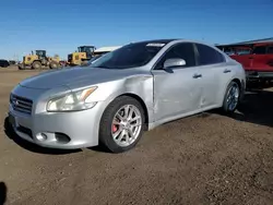 Salvage cars for sale at Brighton, CO auction: 2011 Nissan Maxima S