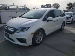 Salvage cars for sale from Copart Sacramento, CA: 2019 Honda Odyssey EXL