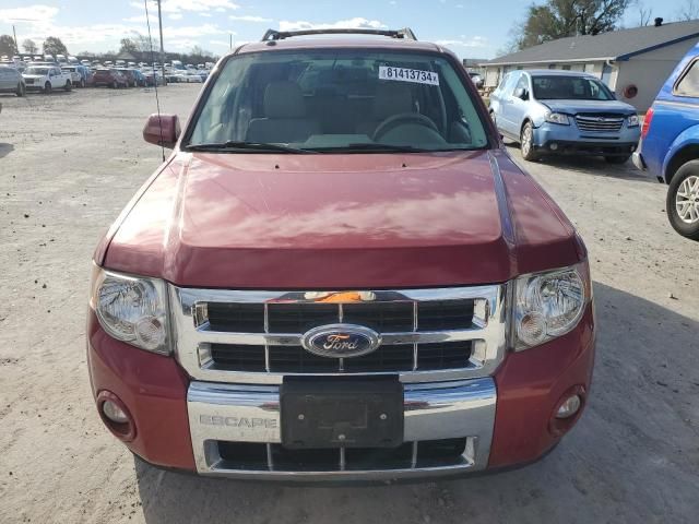 2011 Ford Escape Limited