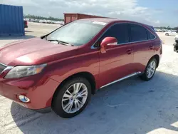 2010 Lexus RX 450H en venta en Arcadia, FL