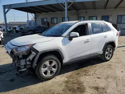 Salvage cars for sale at Los Angeles, CA auction: 2020 Toyota Rav4 XLE