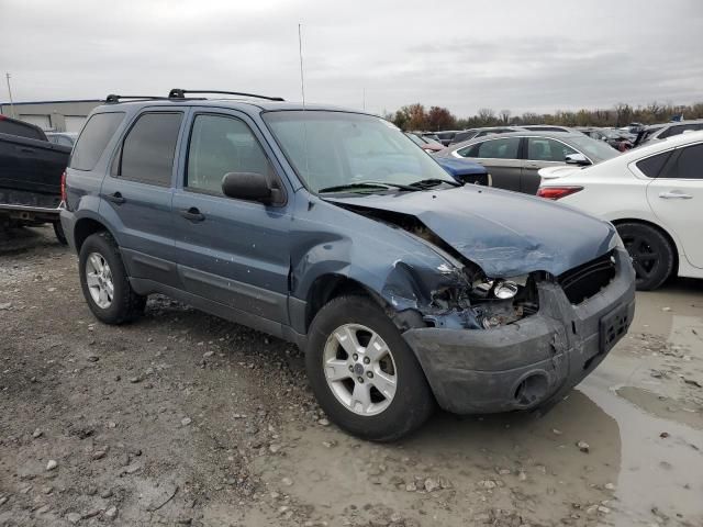 2005 Ford Escape XLT