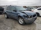 2005 Ford Escape XLT