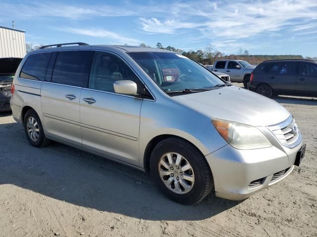 2008 Honda Odyssey EXL