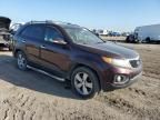 2013 KIA Sorento EX