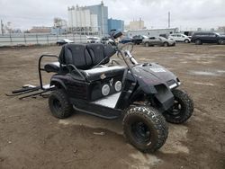 Salvage trucks for sale at Chicago Heights, IL auction: 2015 Other 2015 'OTHER RV' Golfcart