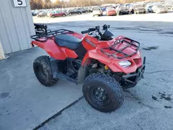 Salvage motorcycles for sale at Ellwood City, PA auction: 2020 Suzuki LT-A400 F