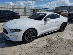 Carros salvage a la venta en subasta: 2022 Ford Mustang