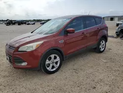 Ford salvage cars for sale: 2014 Ford Escape SE