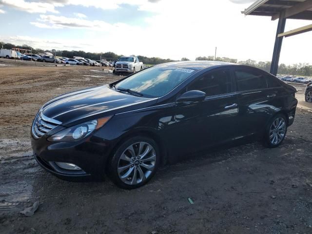 2011 Hyundai Sonata SE