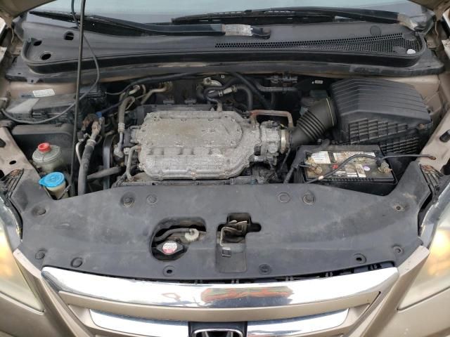 2005 Honda Odyssey EXL