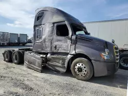 Freightliner Vehiculos salvage en venta: 2024 Freightliner Cascadia 126