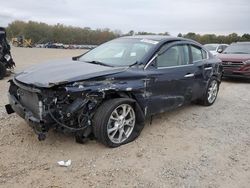 Nissan salvage cars for sale: 2014 Nissan Maxima S