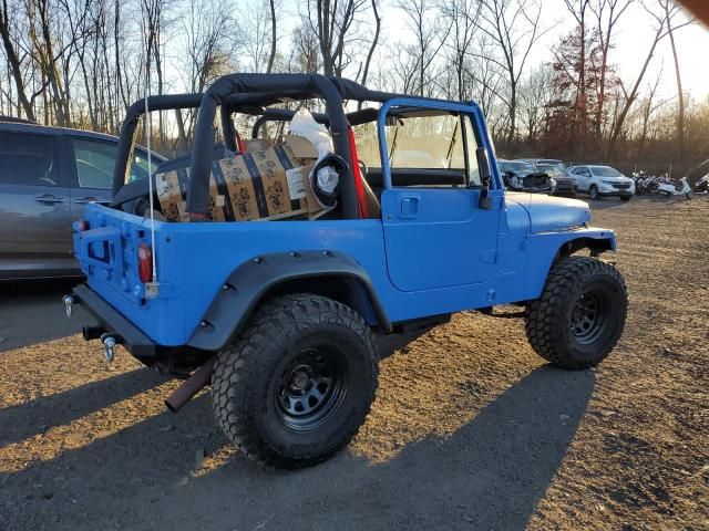 1994 Jeep Wrangler / YJ S