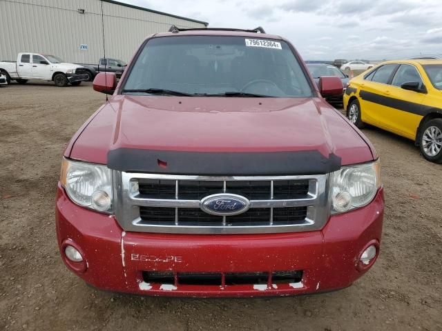 2010 Ford Escape Limited