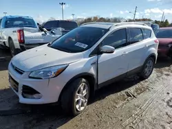 Ford salvage cars for sale: 2015 Ford Escape Titanium