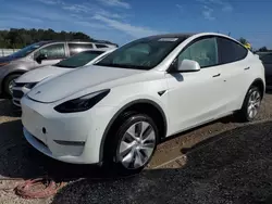 Tesla Vehiculos salvage en venta: 2023 Tesla Model Y