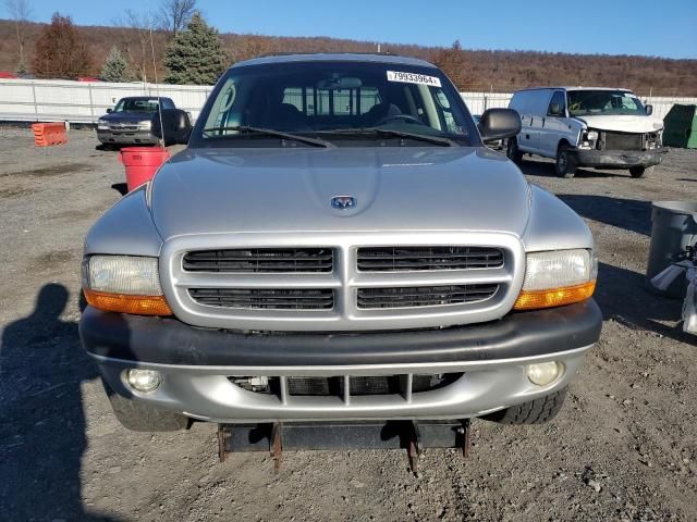 2001 Dodge Dakota Quattro