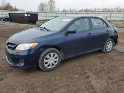 Toyota salvage cars for sale: 2011 Toyota Corolla Base