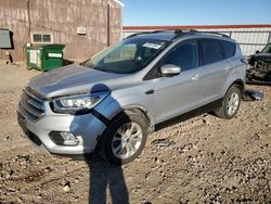 Salvage cars for sale at Rapid City, SD auction: 2017 Ford Escape SE