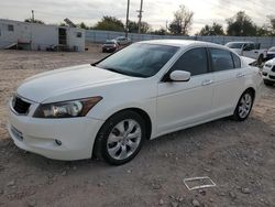 Honda salvage cars for sale: 2009 Honda Accord EXL