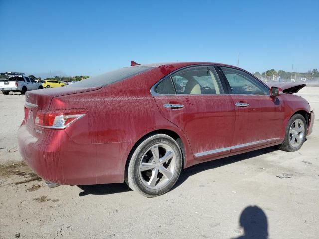 2010 Lexus ES 350