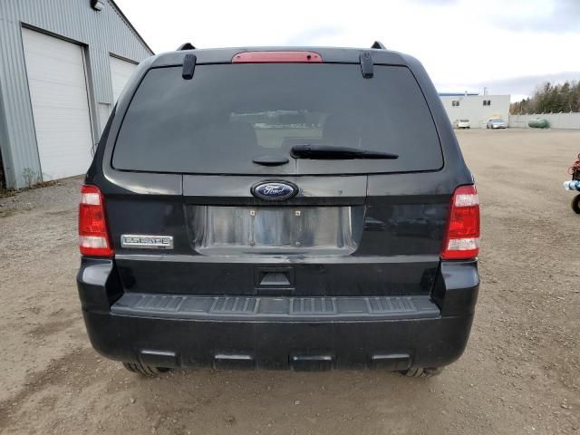 2011 Ford Escape XLT