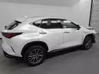 2025 Lexus NX 350H Base