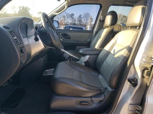 2004 Ford Escape XLT