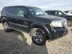 2010 Honda Pilot LX