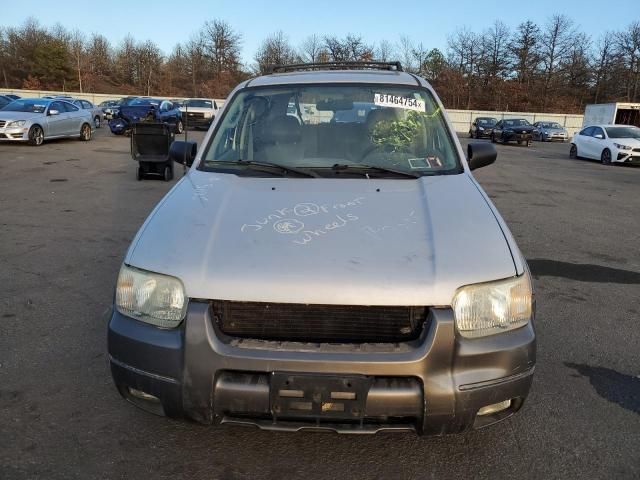 2004 Ford Escape XLT