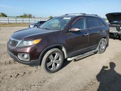 KIA salvage cars for sale: 2013 KIA Sorento EX