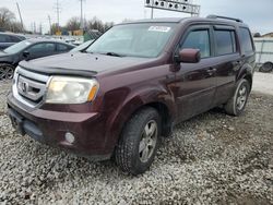 Salvage cars for sale at Columbus, OH auction: 2011 Honda Pilot EX