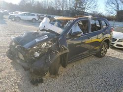 Salvage cars for sale at North Billerica, MA auction: 2023 Subaru Forester Limited