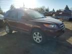 2007 Hyundai Santa FE SE