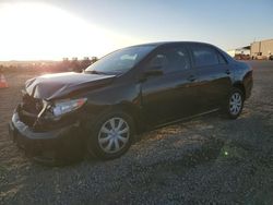 Toyota Corolla Vehiculos salvage en venta: 2009 Toyota Corolla Base